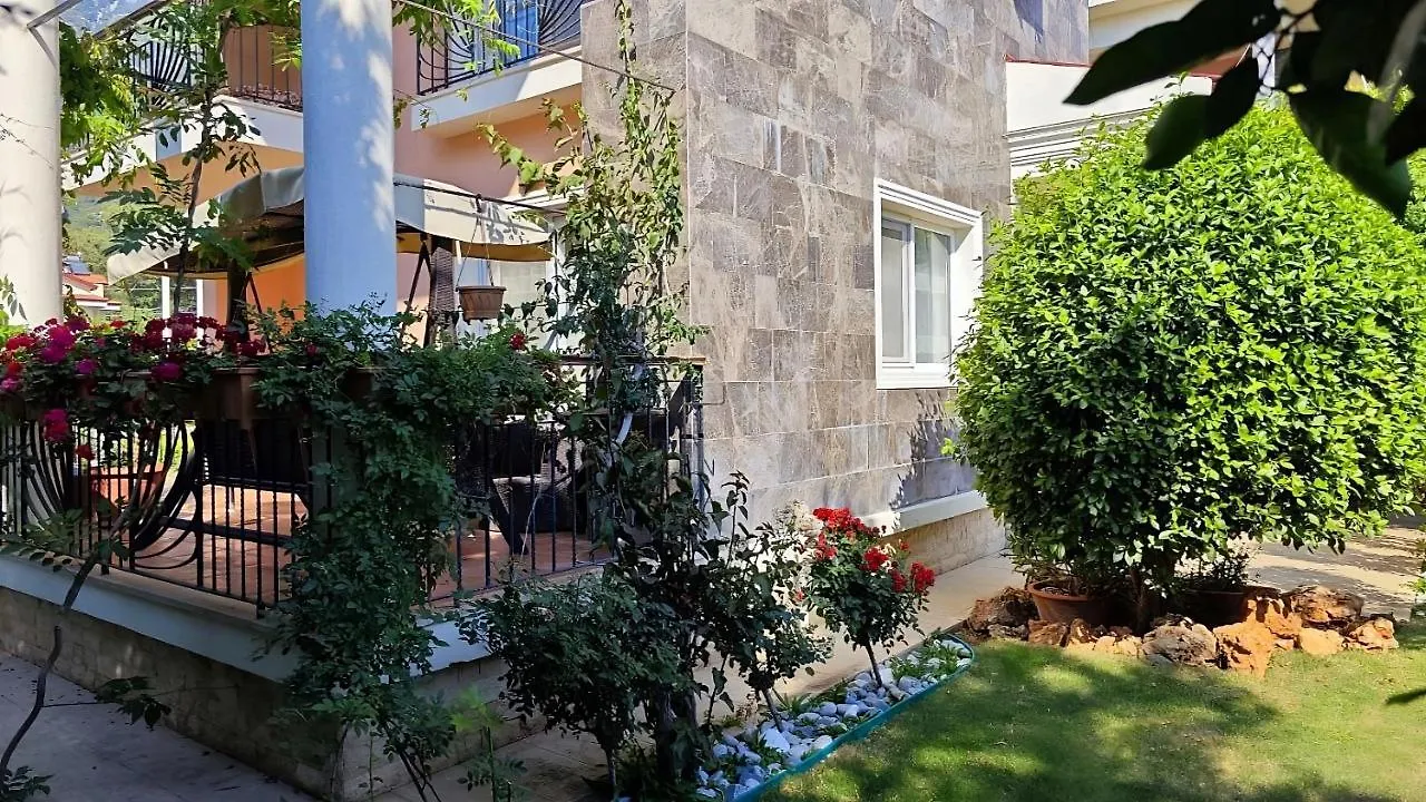 Eco Villa Oleg 费特希耶 土耳其